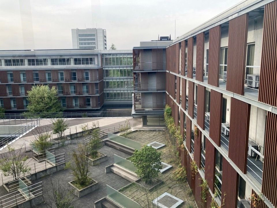 ドルトン東京学園