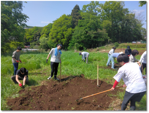 生徒・講師・フェローみんなで汗を流すコスモ農園のひとコマ。