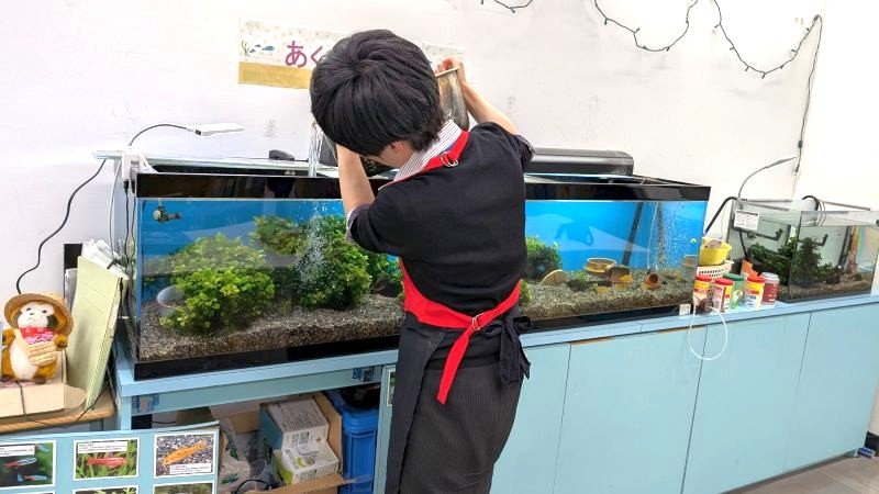河合塾COSMOの水槽